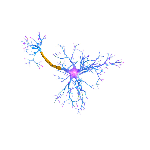 Image Title My Image